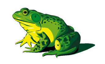 froglogofrog