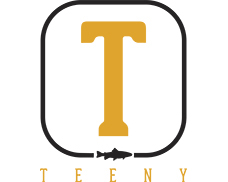 teeny main logo
